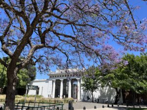 Recoleta Cemetry Visual 5-day Itinerary Buenos aires, Argentina