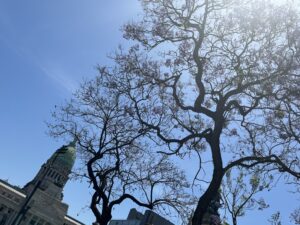 Plaza del Congreso, Buenos aires, Argentina